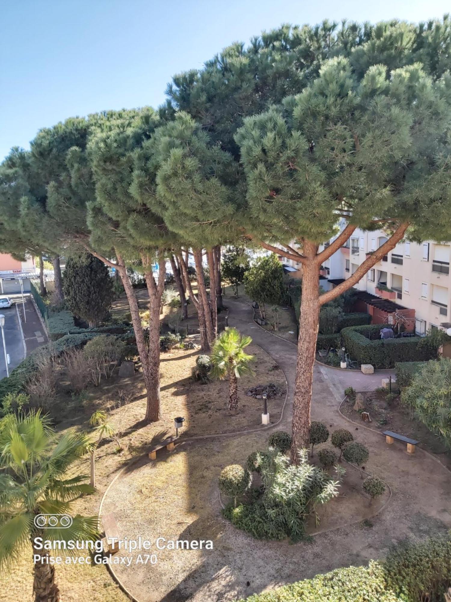 Coquet Studio Centre Port Cap D'Агде Екстериор снимка